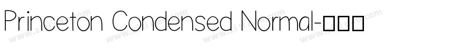 Princeton Condensed Normal字体转换